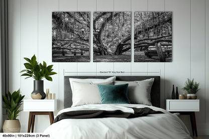 a black and white photo of a bed with pillows