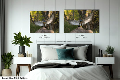 a bedroom with a large bed and two framed photographs of a bird with outstretched wings, hanging on the wall above the bed.