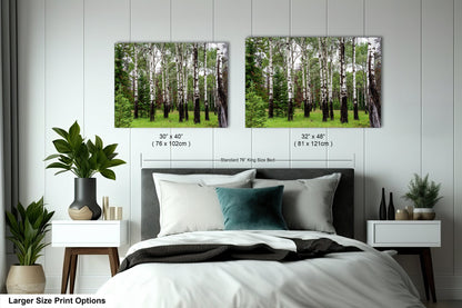 a bed room with a neatly made bed and two pictures on the wall