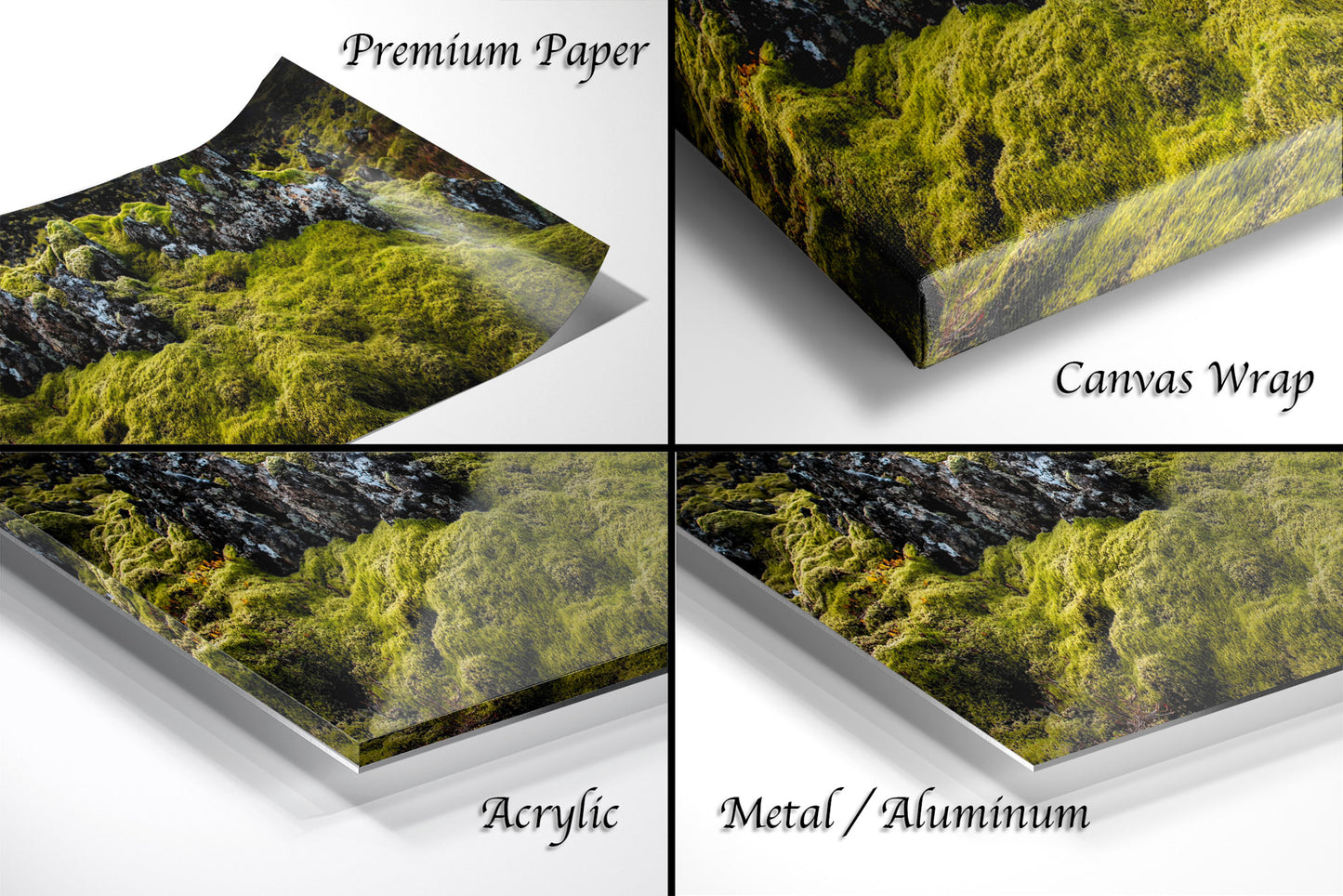 a series of four photos of a forest