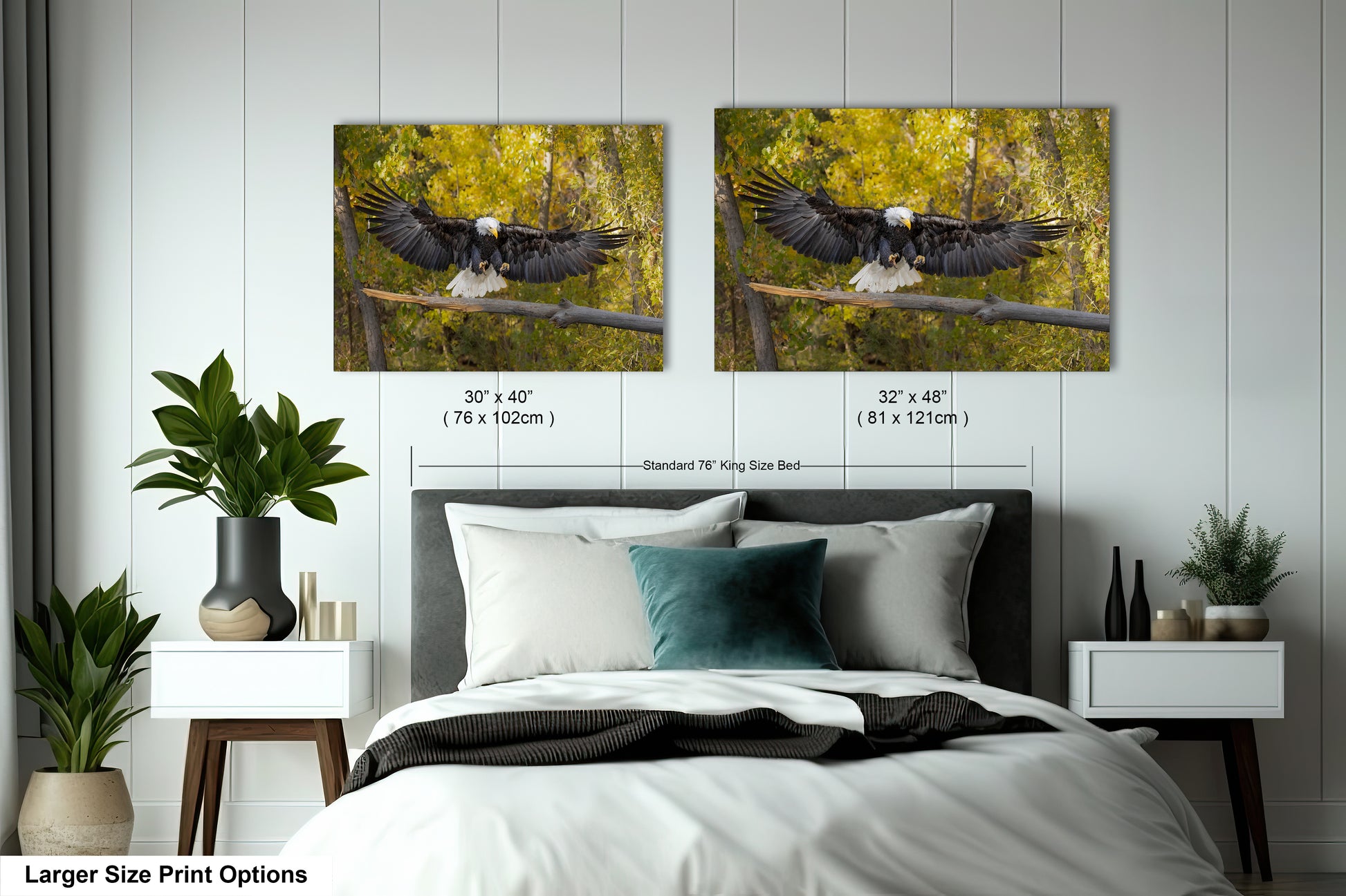a bedroom with two pictures of a bird on the wall