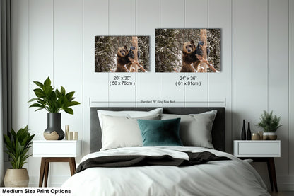 a bed with two pictures on the wall above it