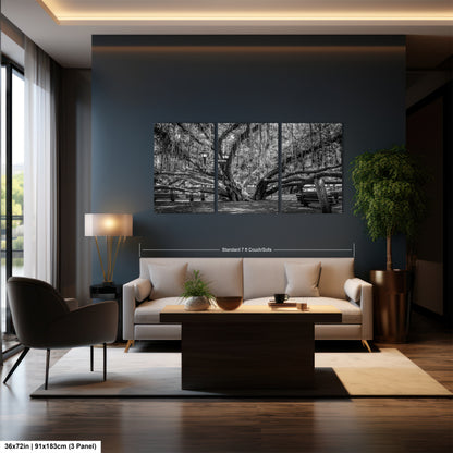 a black and white photo of a living room