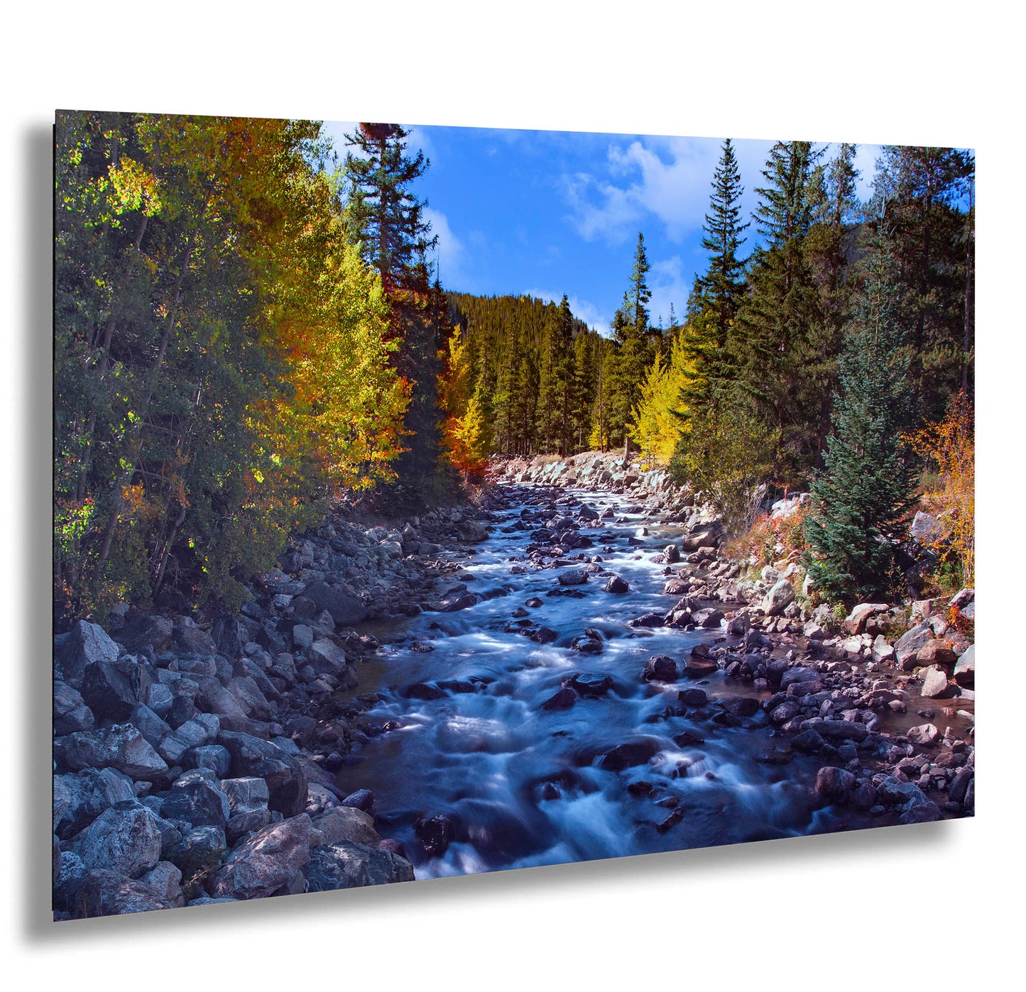 a river running through a forest filled with trees