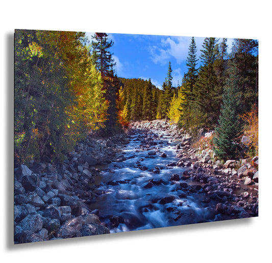a river running through a forest filled with trees