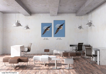 a modern office space with a minimalist design, featuring a large blue bird in flight, two framed prints of the same bird, and various office furniture and decor elements.
