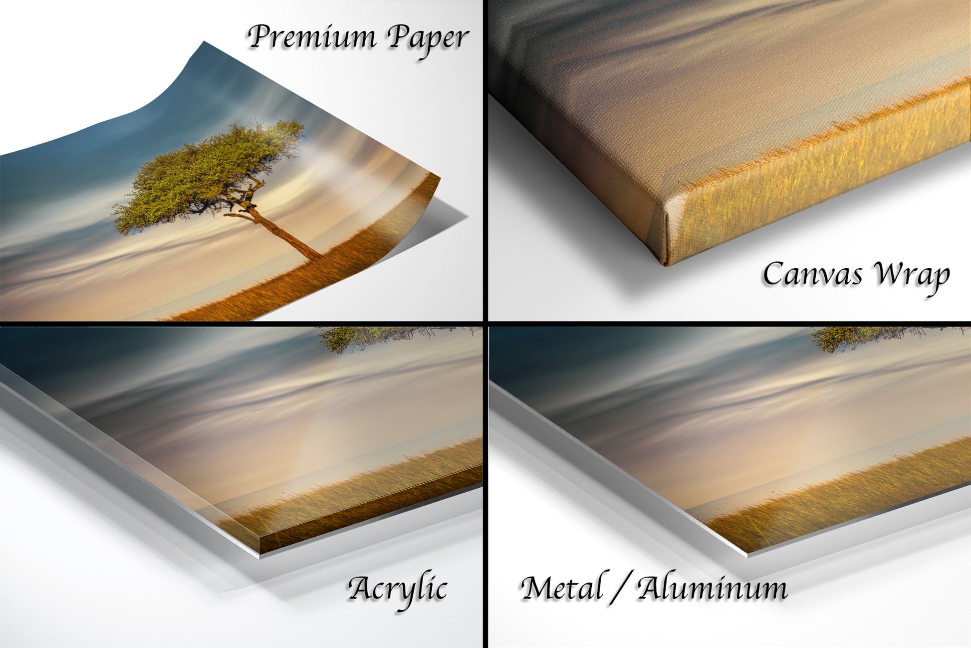 four different views of a tree on a canvas