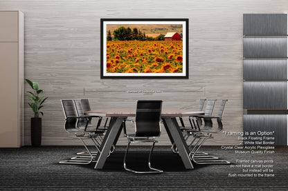 a picture of a sunflower field with a barn in the background