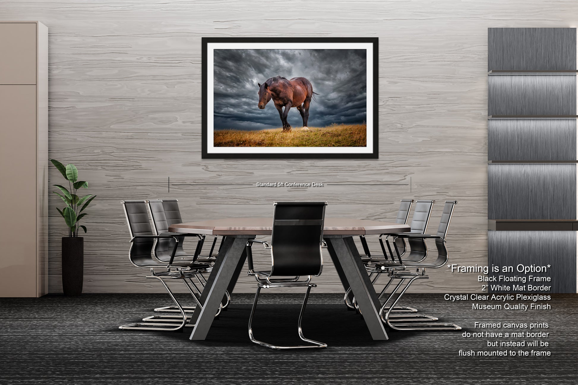 a picture of a horse standing in a field