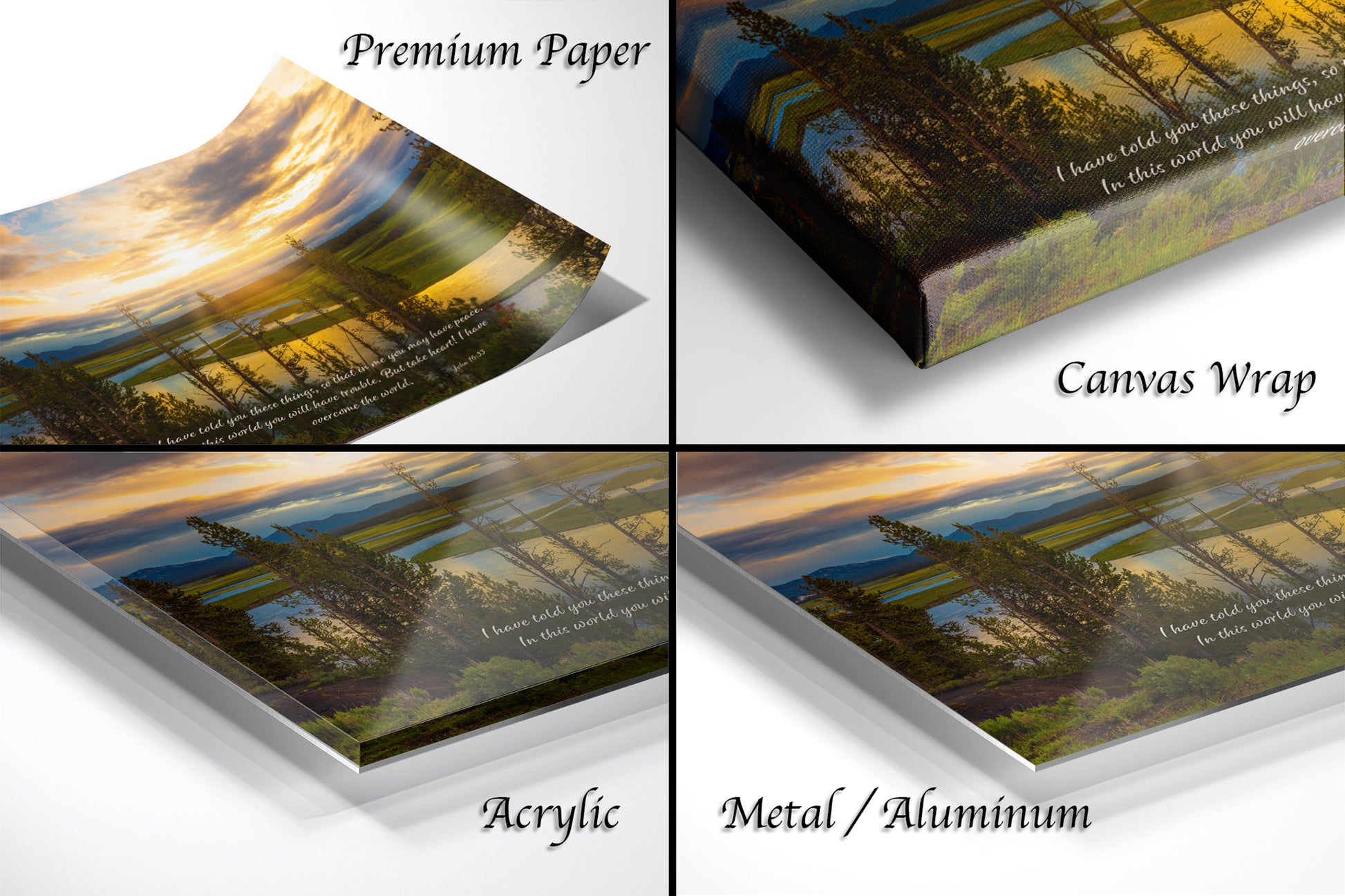 a series of four images showing different views of trees