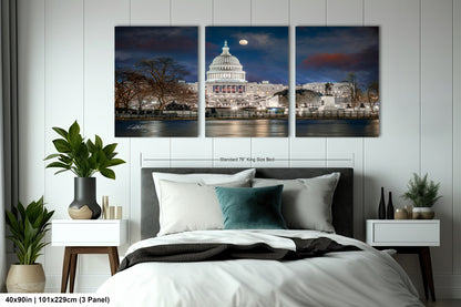 a picture of the capitol building in washington dc