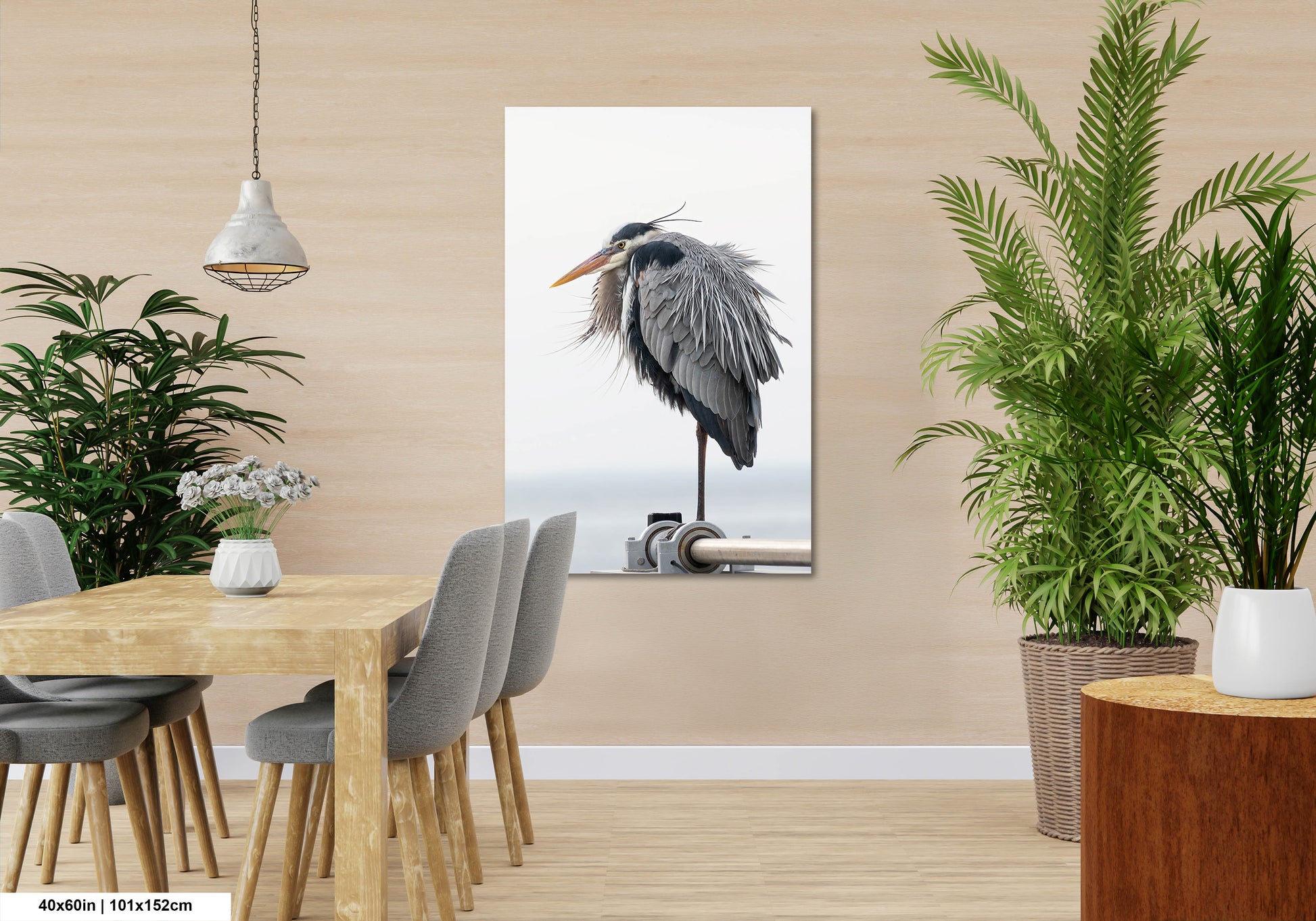 a picture of a bird with a long beak