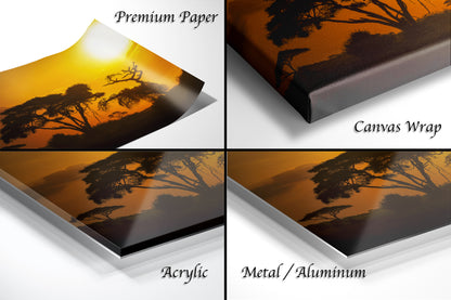 a series of photos of a sunset with trees