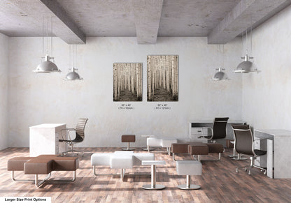 a room with a lot of chairs and desks