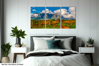 a bed room with a neatly made bed and paintings on the wall