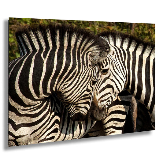 a couple of zebra standing next to each other