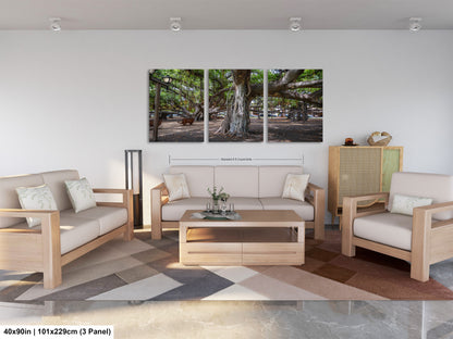 a living room with two couches and a coffee table