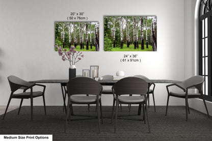 a dining room table with chairs and a vase with flowers