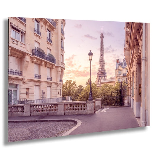 the eiffel tower towering over the city of paris