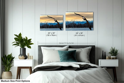 a bedroom with a bed and two pictures on the wall