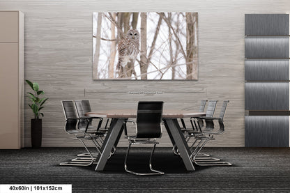 a dining room table with chairs and a picture of a owl