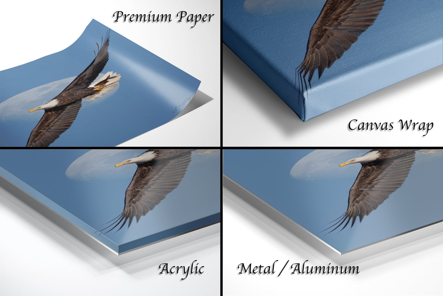 The image is a collage of four different views of a bald eagle in flight, each with a different material or finish, including acrylic, metal, and aluminum.