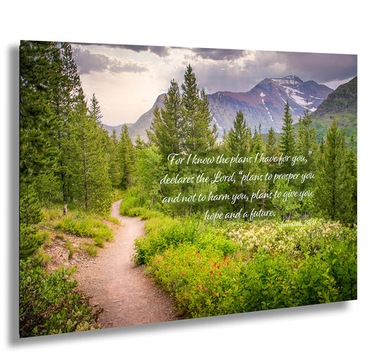 a path leading through a forest with a quote on it