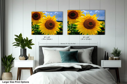 a bed with two pictures of sunflowers on the wall