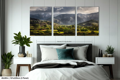 a bed room with a neatly made bed and two pictures on the wall