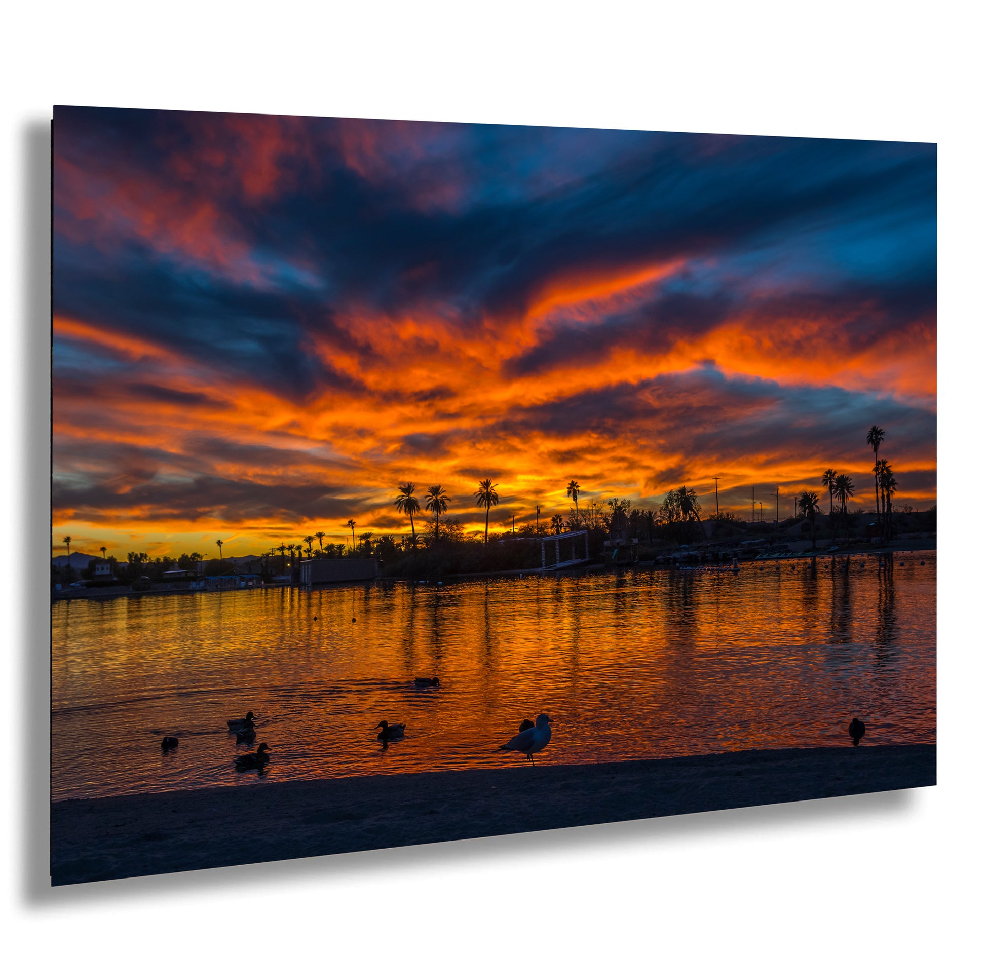 a serene sunset over a body of water, with silhouetted palm trees and ducks swimming in the foreground.