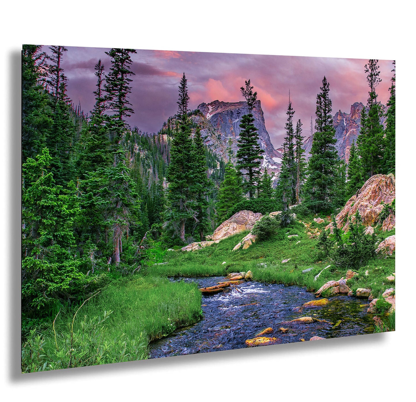 a stream running through a lush green forest