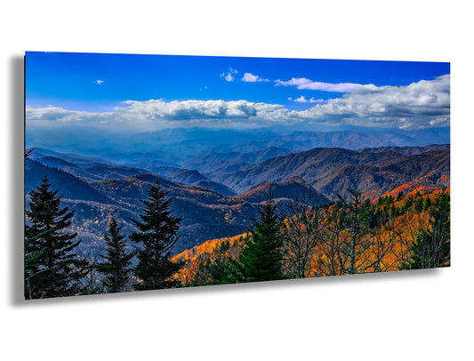 a scenic view of a mountain range with trees in the foreground