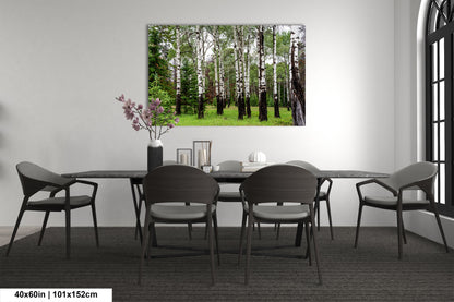 a dining room with a table and chairs