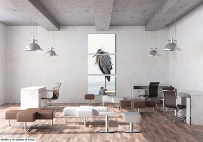 a room with chairs, desks, and a bird in a window