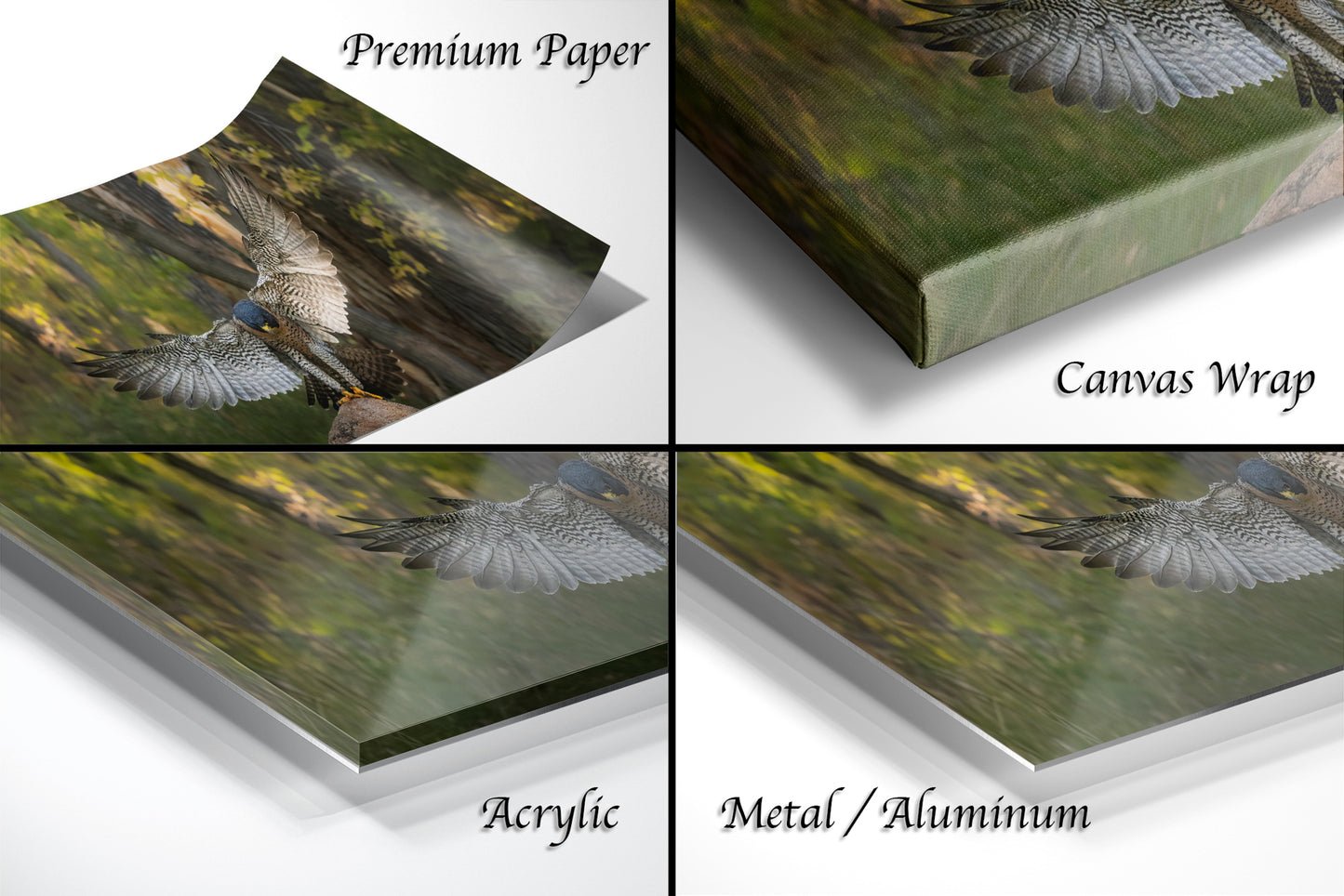 The image is a collage of four different views of a bird in flight, with each view showing the bird in a different angle or perspective. The collage is labeled with the words "Premium Paper", "Canvas Wrap", "Acrylic", and "Metal/Aluminum".