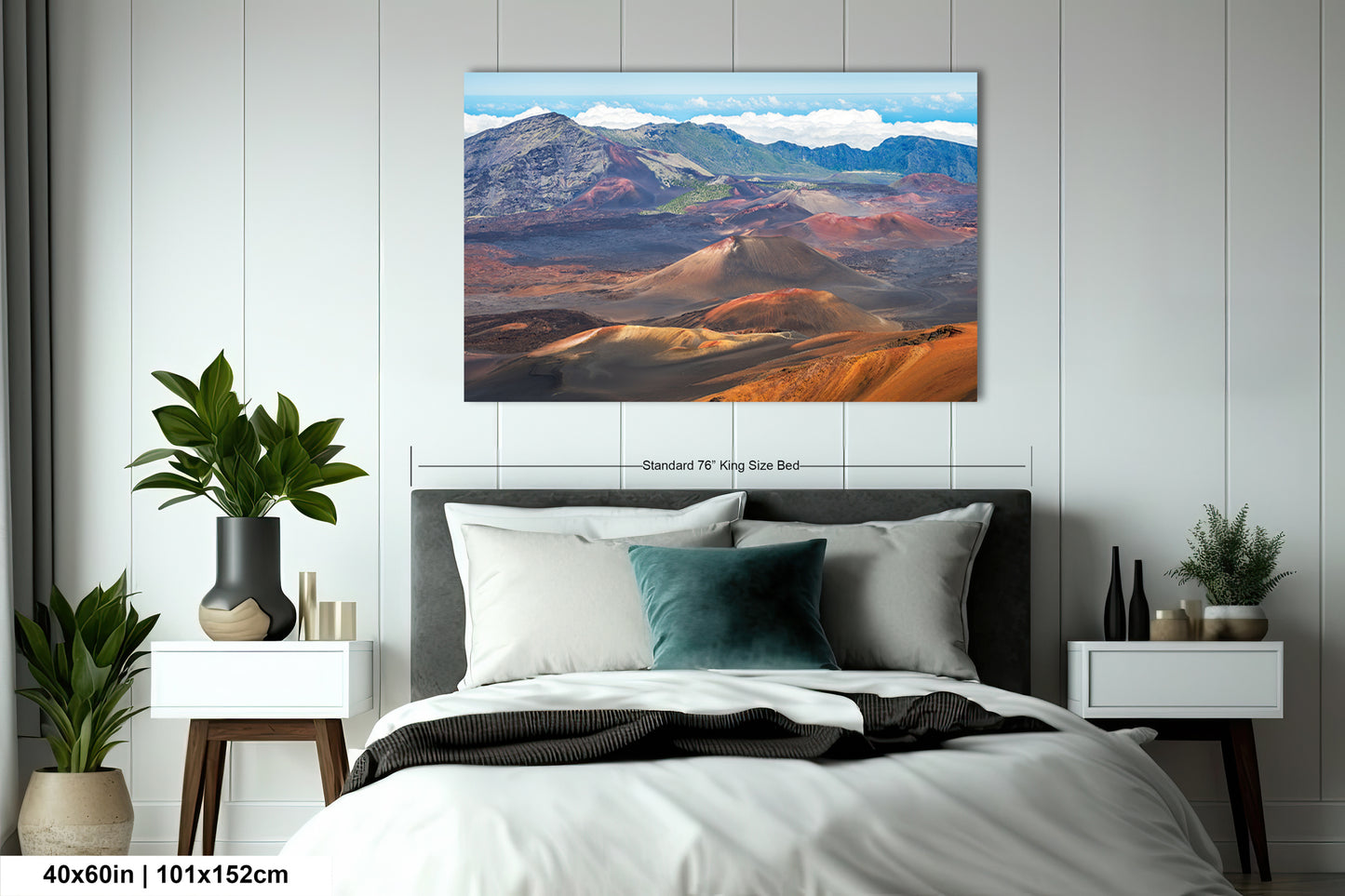 a bedroom with a large bed, nightstands, and potted plants. Above the bed, there is a framed landscape photograph of a mountainous, desert-like scene with a blue sky and clouds.