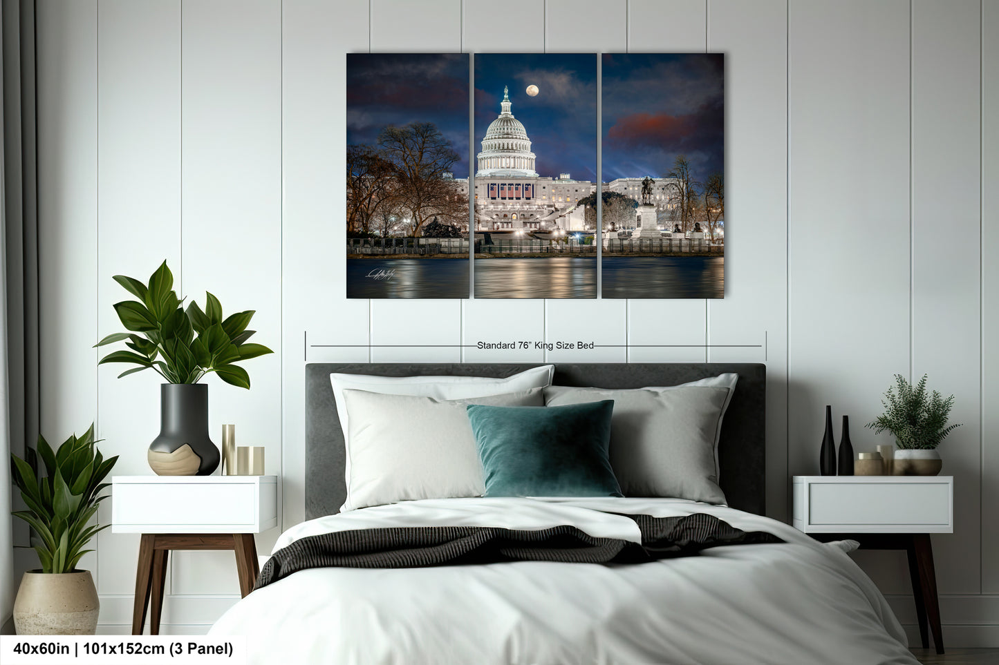 a picture of the capitol building in washington dc