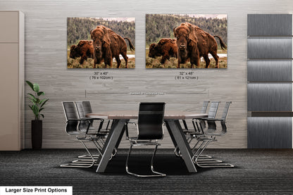 a dining room table with chairs and two pictures of a bison