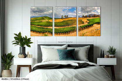 a bed room with a neatly made bed and two pictures on the wall