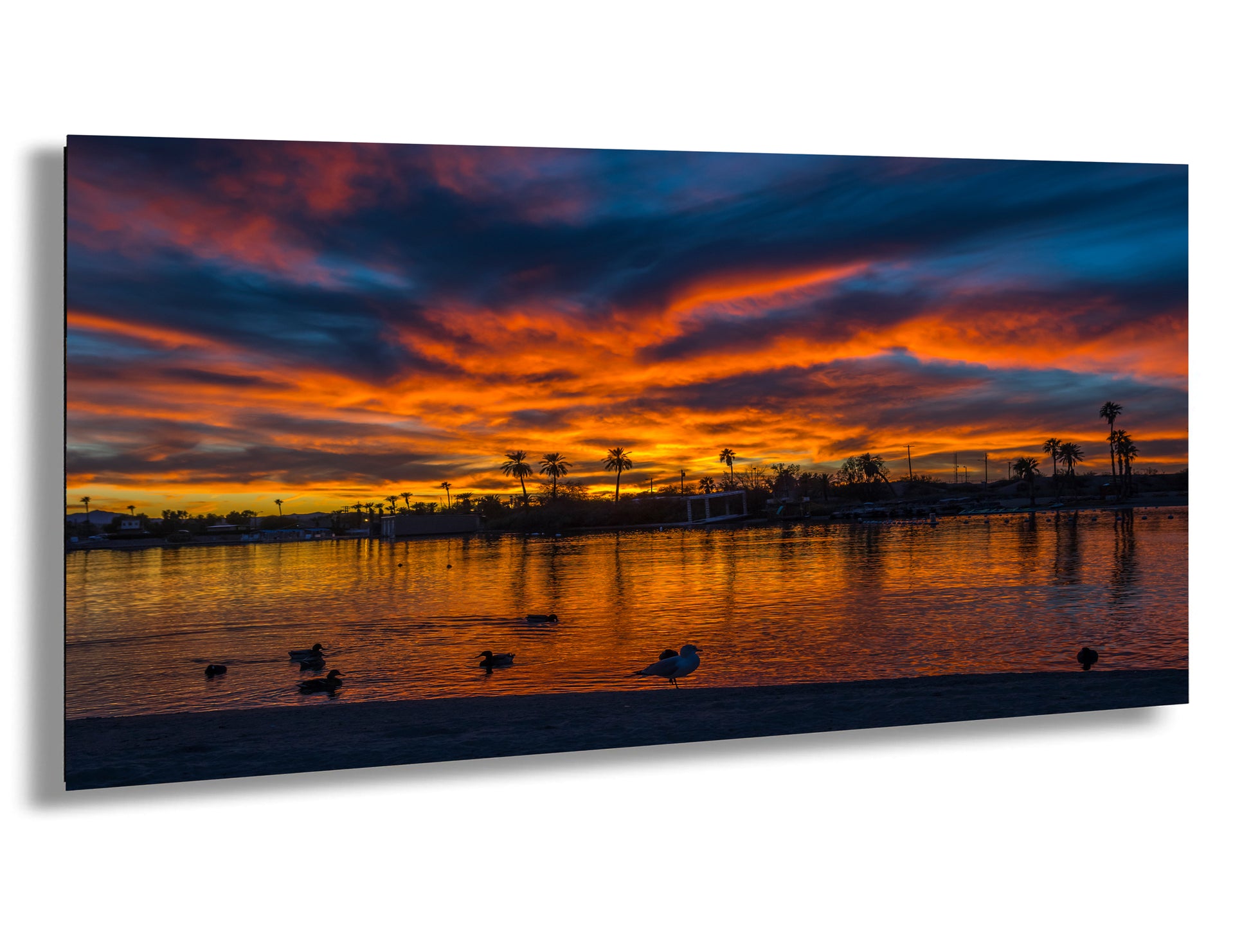 a serene sunset over a body of water, with silhouettes of birds and palm trees reflected in the calm surface.