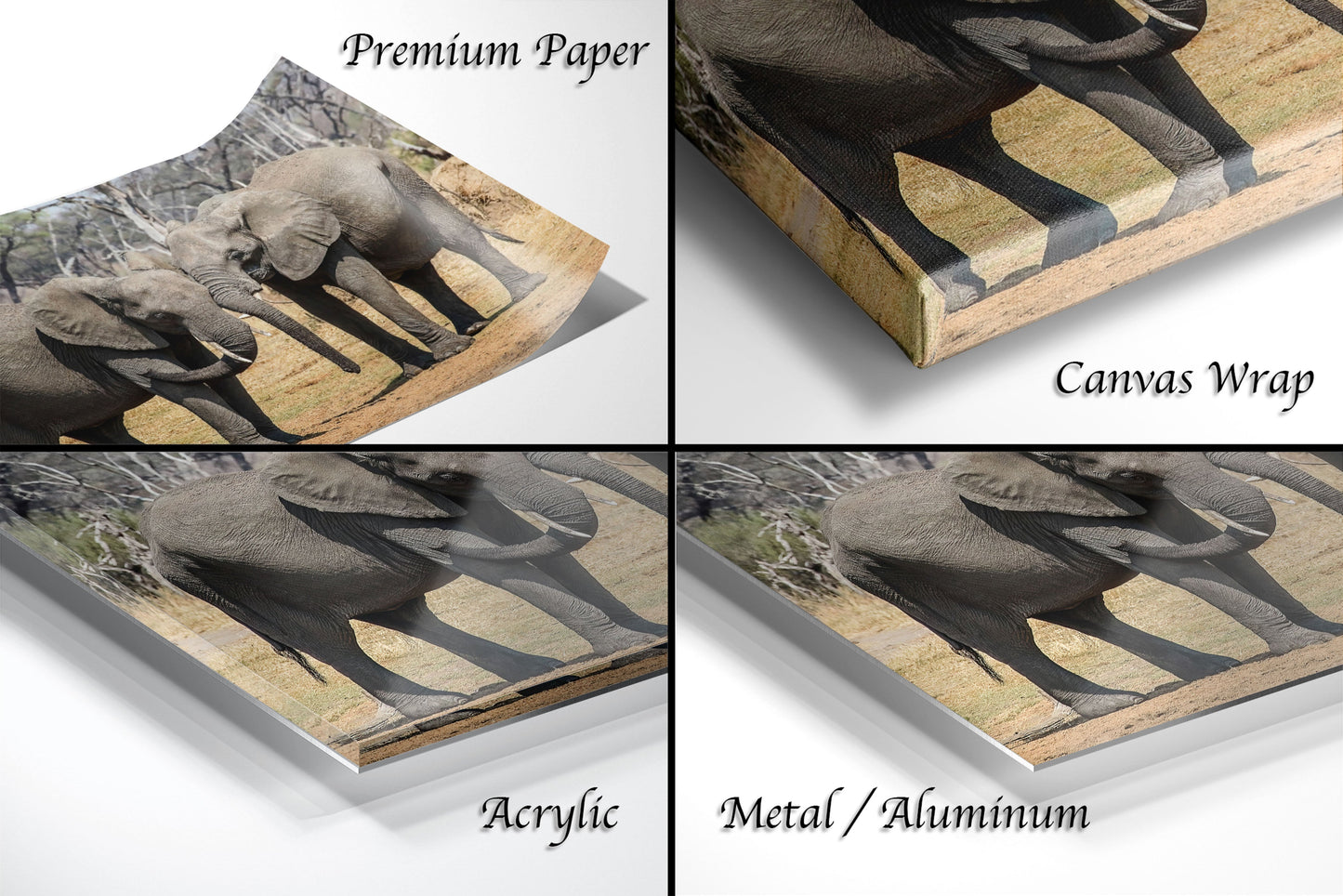 a series of four photos of elephants on a white background