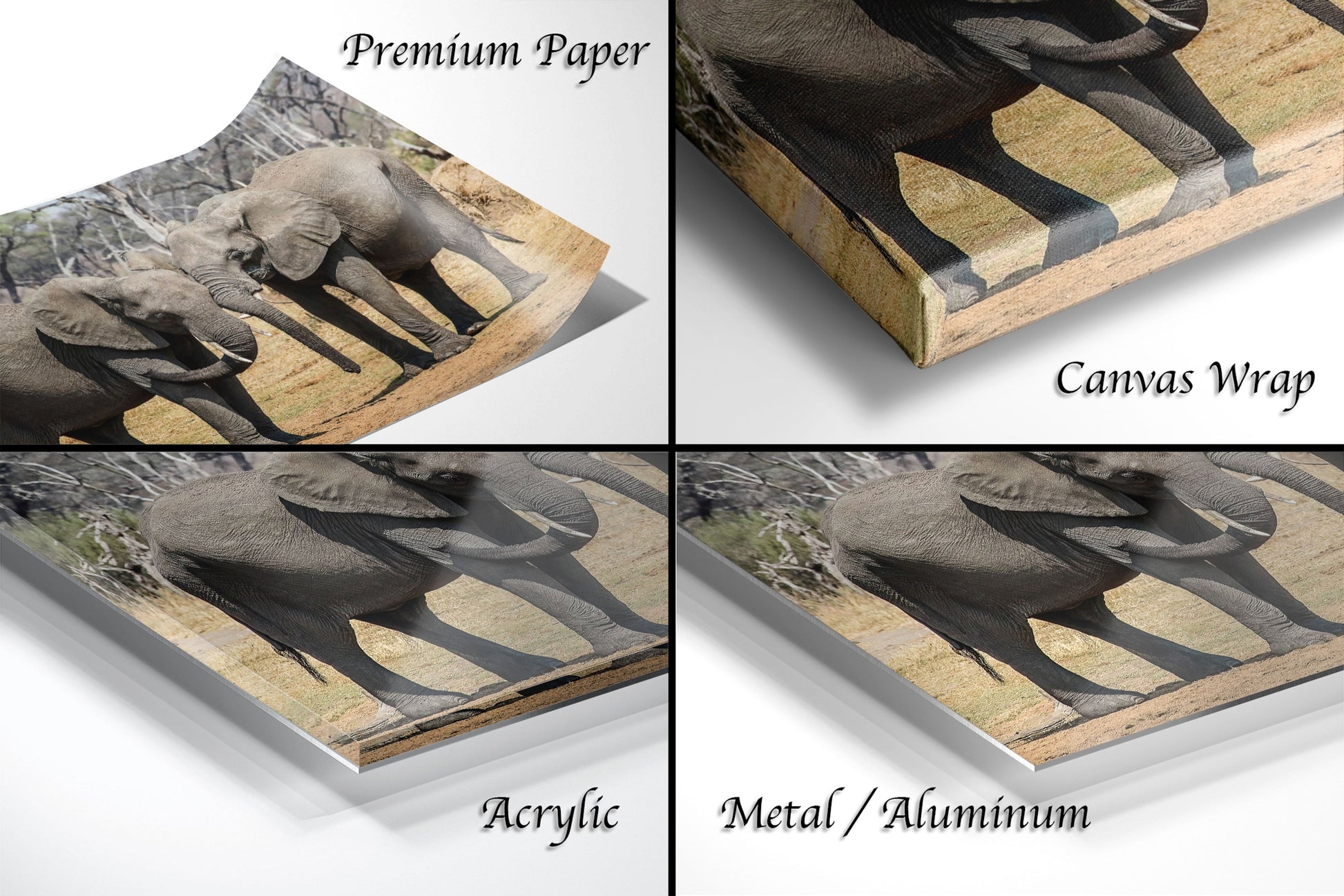 a series of four photos of elephants on a white background