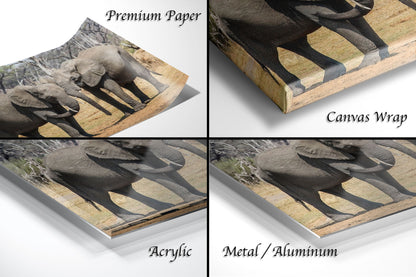 a series of four photos of elephants on a white background