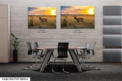 a modern office space with a large wooden table surrounded by black chairs. Above the table, there are two framed pictures of a gazelle in a grassy field, depicting a serene sunset. The pictures are of different sizes, with one being larger than the other. The office space has a minimalist design with gray walls and a gray carpet.