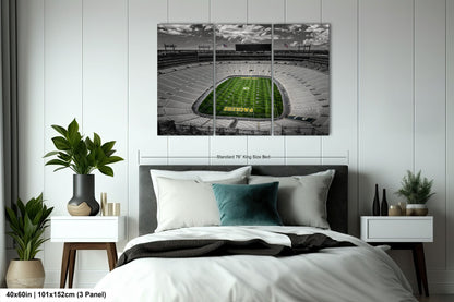 a bedroom with a bed and a picture of a football field