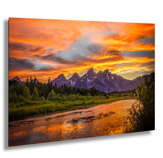 a river running through a lush green forest under a colorful sky