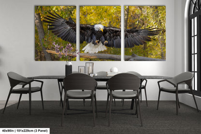 a table with four chairs and a large eagle on it