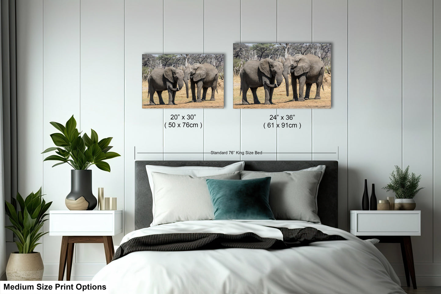 a bed with two pictures of elephants on the wall