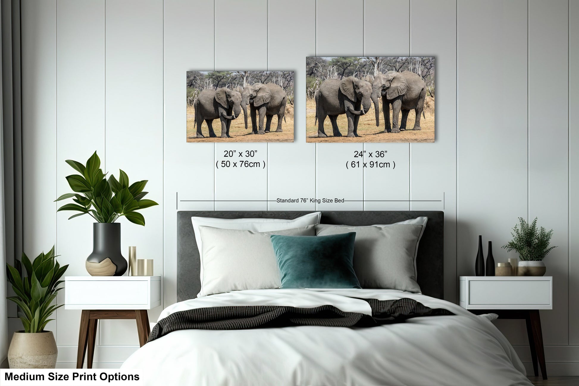 a bed with two pictures of elephants on the wall