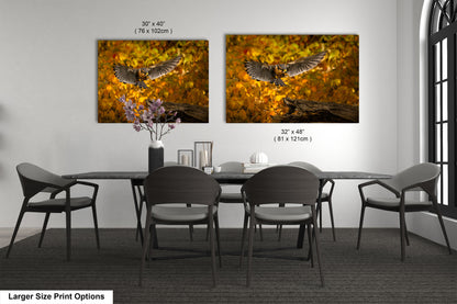 a dining room with a table and chairs